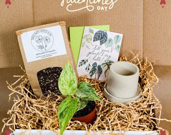 Galentine’s Day Gift Box | Valentine’s Day Self Care Gift | Concrete Planter Set with Plant | Best Friend Gift | Indoor Plant Gift