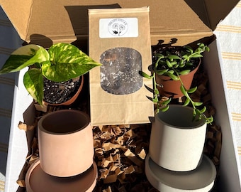 Deluxe Plant Gift Box: 2 Plants, 2 Planters, 1 LB Bag of Soil | Holiday Gifting