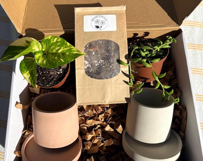 Deluxe Plant Gift Box: 2 Plants, 2 Planters, 1 LB Bag of Soil | Holiday Gifting
