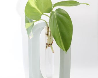 Plant & Flower Vase | Modern Minimalist Home Decor | Plant Lover Gift | Arched Concrete Propagation Stand |