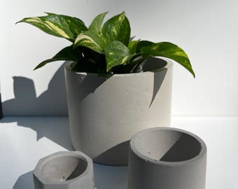 6-Inch Concrete Planter | Modern Succulent Pot