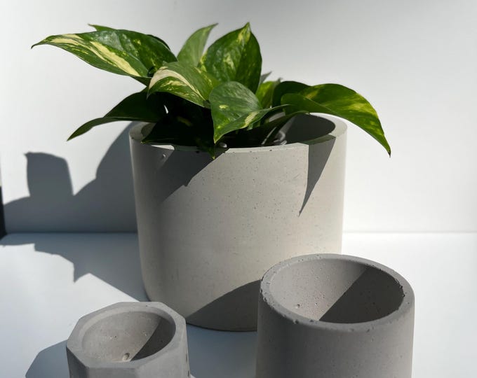 6-Inch Concrete Planter | Modern Indoor Plant Pot