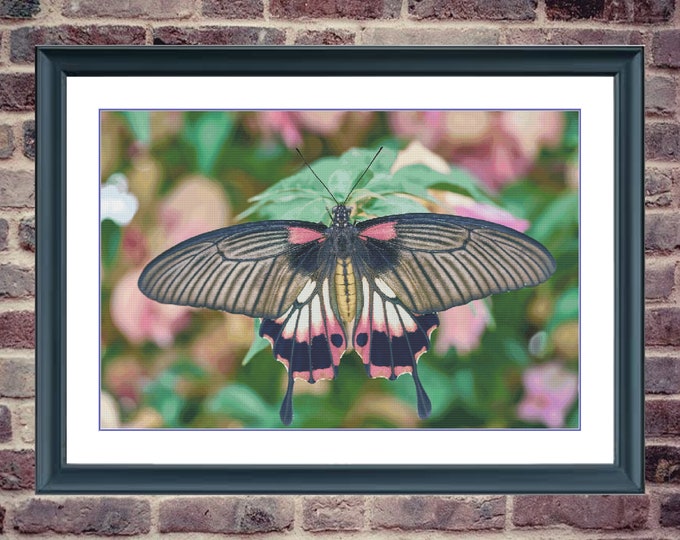 Butterfly 10 | Anchor Cross Stitch Pattern | Three Counted PDF Charts in Instant Download | Happy Stitching and Thanks for Visiting!