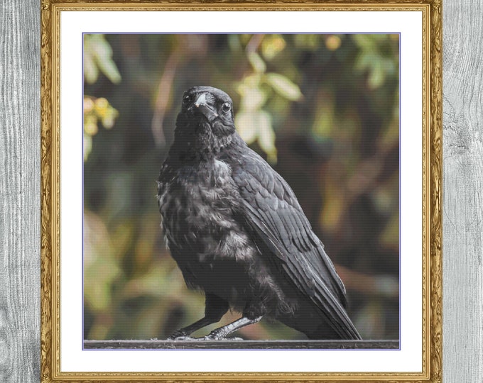 Raven | Anchor Cross Stitch Pattern | Three Counted PDF Charts in Instant Download | Happy Stitching and Thanks for Visiting!