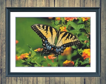Butterfly 9 | DMC Cross Stitch Pattern | Three Counted PDF Charts in Instant Download | Happy Stitching and Thanks for Visiting!