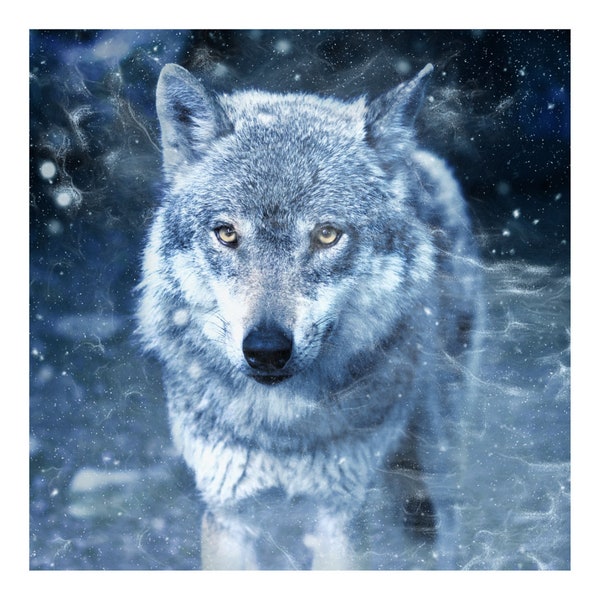 Winter Wolf 2 | Anchor Cross Stitch Quality Design | PDF Pattern | Three Counted Charts in Instant Download