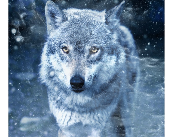 Winter Wolf 2 | Anchor Cross Stitch Quality Design | PDF Pattern | Three Counted Charts in Instant Download