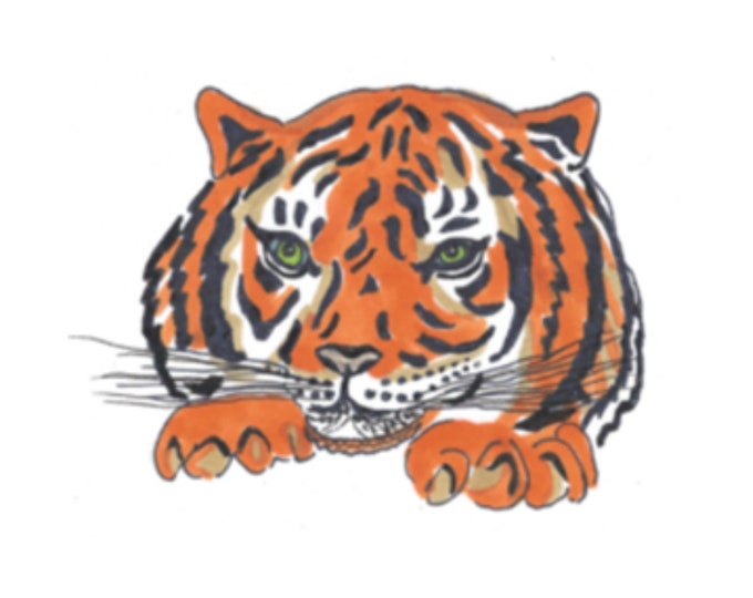 Tiger | DMC Cross Stitch Quality Design | PDF Pattern | Three Counted Charts in Instant Download