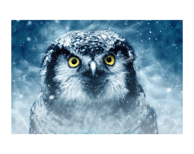 Winter Owl | DMC Cross Stitch Museum Quality Design | PDF Pattern | Three Counted Charts in Instant Download