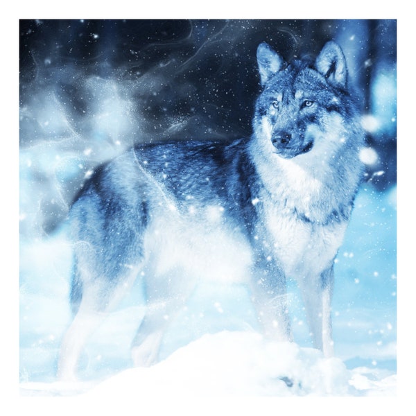 Winter Wolf | Anchor Cross Stitch Quality Design | PDF Pattern | Three Counted Charts in Instant Download