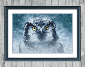 Winter Owl | DMC Cross Stitch Museum Quality Pattern | Three Counted PDF Charts in Instant Download | Happy Stitching!