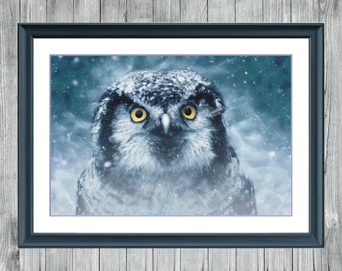 Winter Owl | DMC Cross Stitch Museum Quality Pattern | Three Counted PDF Charts in Instant Download | Happy Stitching!