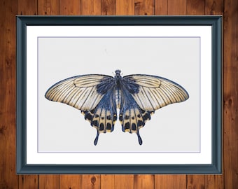 Butterfly 5 | Anchor Cross Stitch Pattern | Three Counted PDF Charts in Instant Download | Happy Stitching and Thanks for Visiting!