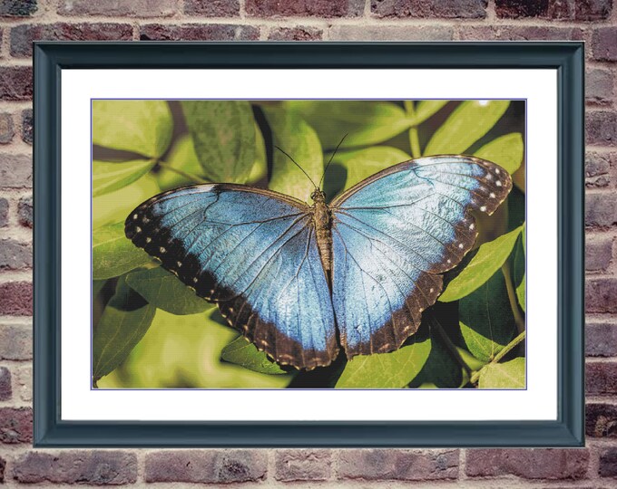 Butterfly 7 | DMC Cross Stitch Pattern | Three Counted PDF Charts in Instant Download | Happy Stitching and Thanks for Visiting!