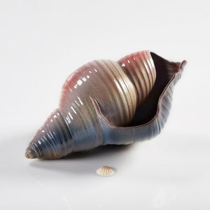 May include: A large, ceramic seashell with a blue, gray, and pink glaze. The shell is open and has a smaller, white seashell inside.