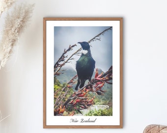 New Zealand Tui Bird Print: Native Wildlife Art (Digital Download)