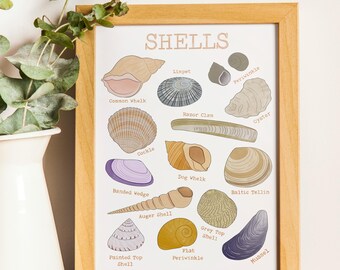 Stampa artistica digitale di conchiglie: decorazione per gli amanti dell'oceano