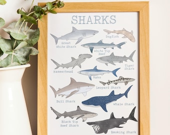 Sharks Species Digital Art Print