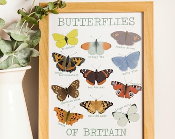 Butterflies of Britain Digital Art Print - Nature Wall Decor