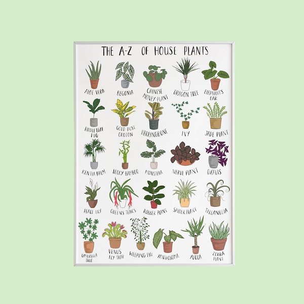 House Plants Etsy UK
