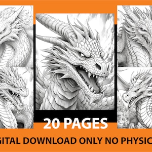 Dragon fantasy coloring page - coloring page for adults - Dragon coloring page - Fantasy Dragon Coloring page - digital download