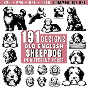 Pode incluir: Uma coleção de 191 designs de Cão Pastor Inglês Antigo em preto e branco, mostrando várias poses. A imagem inclui o texto "SVG - PNG - DXF - JPEG COMMERCIAL USE" e "191 DESIGNS OLD ENGLISH SHEEPDOG IN DIFFERENT POSES".
