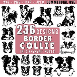 Border Collie Hund SVG Bundle-Datei, Hund Haustier-Liebhaber, Hund Clipart für Cricut | Laser, Hundegrafik, png, jpeg SVG DXF Vektor | Kommerzielle Nutzung