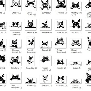 May include: A black and white illustration of different cat breeds, each with a unique facial expression. The cat breeds are labelled with their names and a number in parentheses.