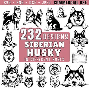 Siberian Husky Dog SVG Bundle File, Dog pet lover, husky Clipart for Cricut | Laser, Dog Graphics, png, jpeg SVG DXF Vector | Commercial use