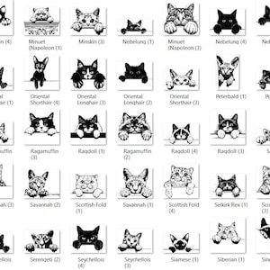 May include: Black and white line drawings of various cat breeds, each with a unique name and description. The cats are depicted in a playful pose, peeking over a surface.