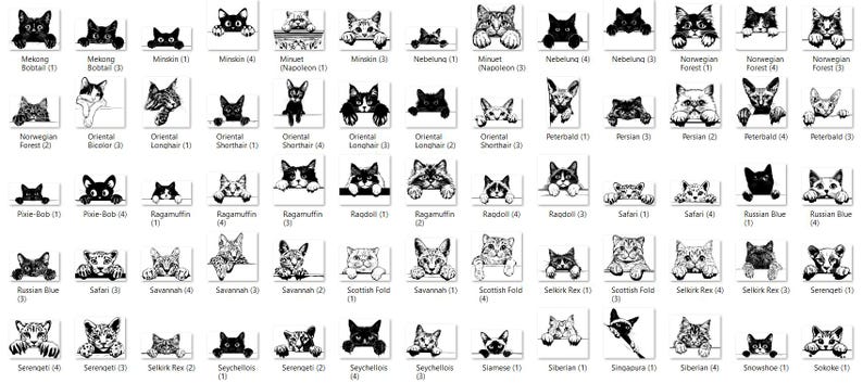 May include: Black and white line drawings of various cat breeds, each with a unique name and description. The cats are depicted in a playful pose, peeking over a surface.