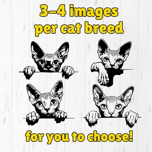 May include: Four black and white illustrations of a Sphynx cat peeking over a surface. The text "3-4 images per cat breed for you to choose!" is written in yellow at the top and bottom of the image.