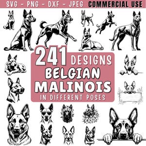 Belgian Malinois Dog SVG Bundle File, Dog pet lover, Dog Clipart for Cricut | Laser, Dog Graphics, png, jpeg SVG DXF Vector | Commercial use image 1