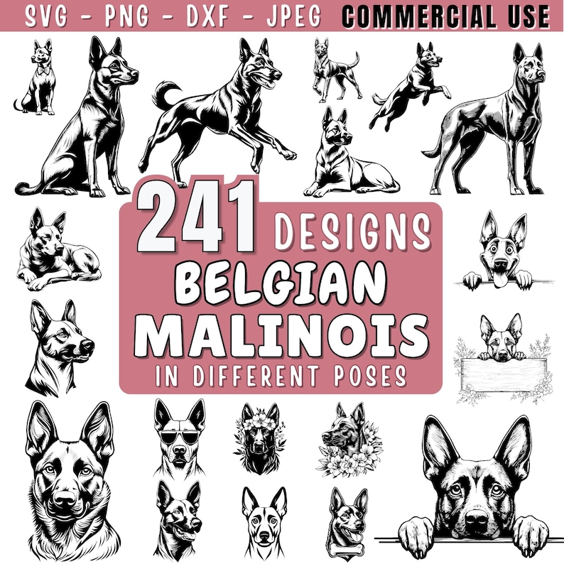 Belgian Malinois Dog SVG Bundle File, Dog pet lover, Dog Clipart for Cricut | Laser, Dog Graphics, png, jpeg SVG DXF Vector | Commercial use image 1