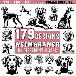 Könnte beinhalten: Schwarz-weiße Illustration mit 179 Weimaraner-Hundedesigns in verschiedenen Posen. Der Text oben lautet "SVG - PNG - DXF - JPEG COMMERCIAL USE".