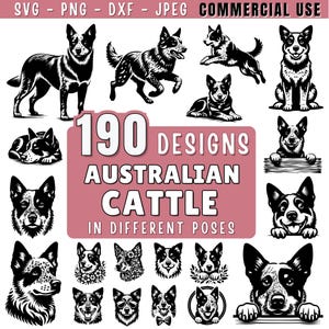 Australian Cattle Dog SVG Bundle | Heeler & Silhouette Clipart | Cattle dog svg | Pet Dog PNG DXF jpeg for Cricut and Laser | Commercial Use