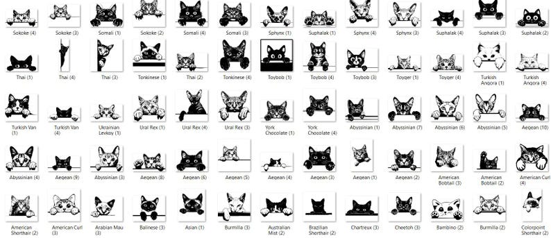 May include: Black and white illustrations of different cat breeds, each with a unique facial expression and pose. The illustrations are arranged in a grid format, with the breed name and number listed below each image.
