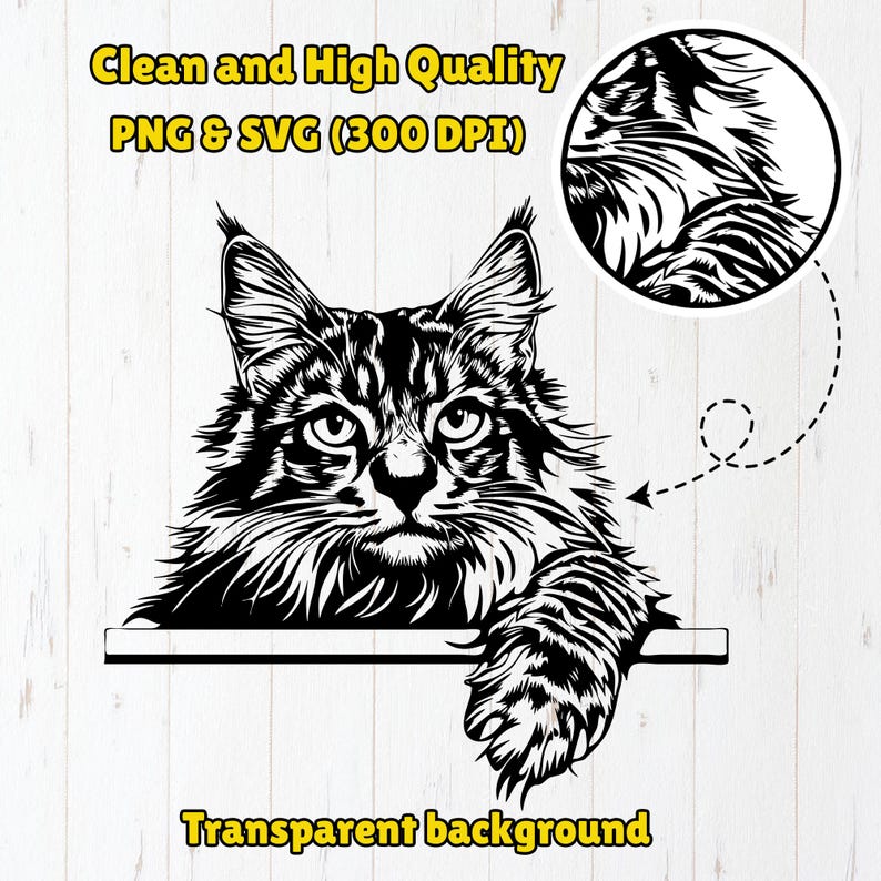 May include: Black and white line art illustration of a Maine Coon cat peering over a surface. The cat has a long, bushy tail and a curious expression on its face. The background is transparent.