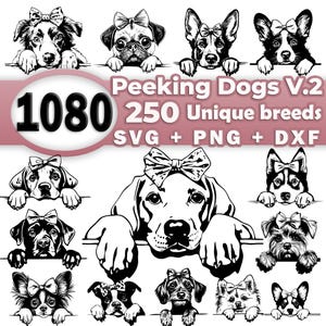 Cute Adorable Peeking Dog SVG Bundle File V.2, All Breeds Collection, Dog Clipart for Cricut | Laser, High Quality, PNG SVG dxf Vector files