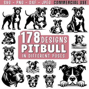 American Pit Bull Terrier dog SVG Bundle | Peeking & Silhouette Pitbull dog Clipart | Dog PNG DXF jpeg for Cricut and Laser | Commercial Use