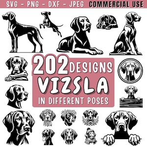 Może przedstawiać: Kolekcja 202 wzorów psów rasy Vizsla w czerni i bieli w różnych pozach. Obraz zawiera stojące, skaczące i leżące Vizsle, wraz z tekstem "202 DESIGNS VIZSLA IN DIFFERENT POSES".