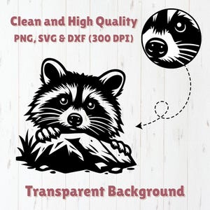 May include: Black and white illustration of a raccoon peeking out from behind a rock. The raccoon has a cute, cartoon-like expression. The image has a transparent background.