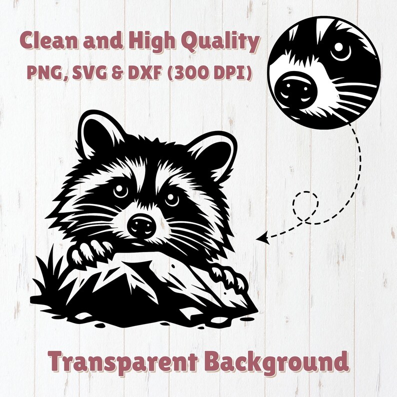 May include: Black and white illustration of a raccoon peeking out from behind a rock. The raccoon has a cute, cartoon-like expression. The image has a transparent background.