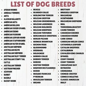 Dog Heads SVG Bundle File, All Breeds Collection, Dog Clipart for Cricut | Laser Cut, High Quality Silhouette Graphics, png SVG DXF Vector image 6