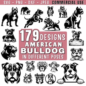 Può includere: Una collezione di 179 disegni di Bulldog Americano in varie pose. I disegni sono in bianco e nero, con diverse illustrazioni della razza canina. L'immagine include il testo che recita "American Bulldog in different poses."