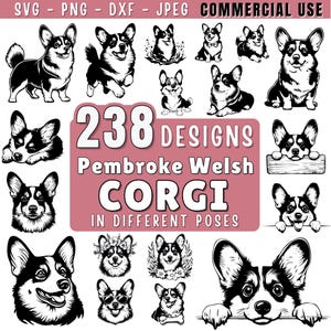 Puede incluir: Una colección de 238 diseños de Corgi Galés Pembroke en blanco y negro, en varias poses. La imagen incluye el texto "SVG - PNG - DXF - JPEG COMMERCIAL USE" y "238 DESIGNS Pembroke Welsh CORGI IN DIFFERENT POSES".
