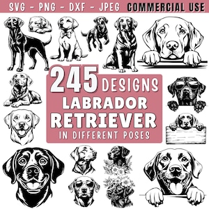 Labrador Retriever SVG Bundle File, Dog graphics, Dog Clipart for Cricut | Laser, High Quality Silhouette Graphics, png, jpeg SVG DXF Vector