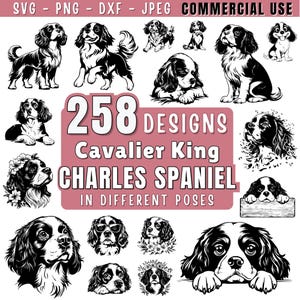 Cavalier King Charles Spaniel Hund SVG Bundle-Datei, Hund Haustier Liebhaber, Hund Clipart für Cricut | Laser, png, jpeg SVG DXF Vektor | Kommerzielle Nutzung