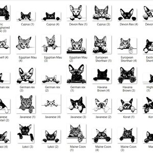 May include: Black and white illustrations of different cat breeds, each with a unique facial expression. The cat breeds are labelled with their names and numbers.