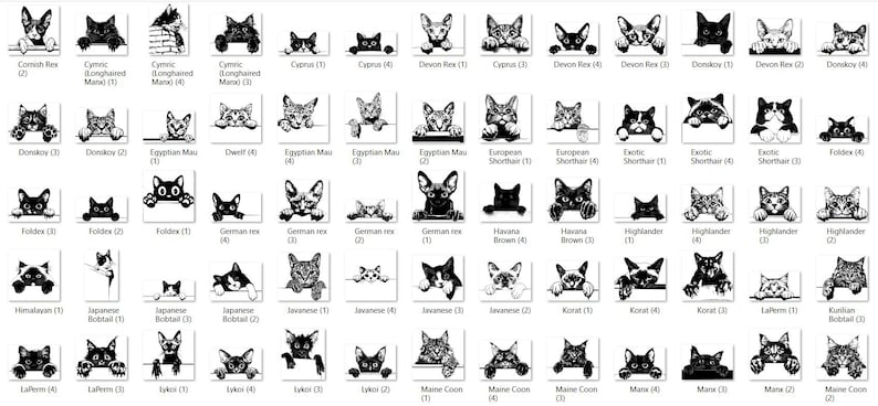 May include: Black and white illustrations of different cat breeds, each with a unique facial expression. The cat breeds are labelled with their names and numbers.